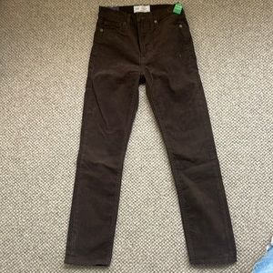 NWT gap corduroy chocolate brown pants